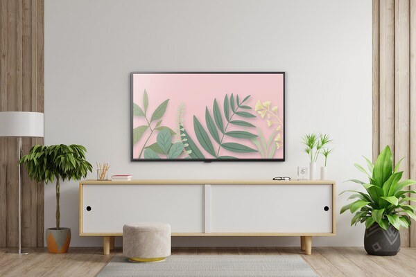 Samsung Frame TV Installation Services